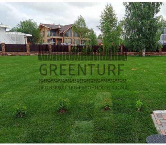 Озеленение территории Руза Фэмили Парк - фото - 2