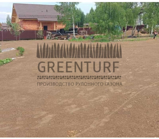 Озеленение территории Руза Фэмили Парк - фото - 7