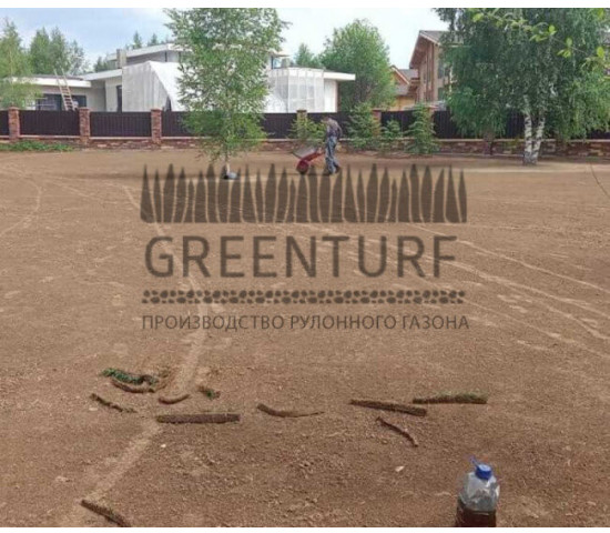 Озеленение территории Руза Фэмили Парк - фото - 6